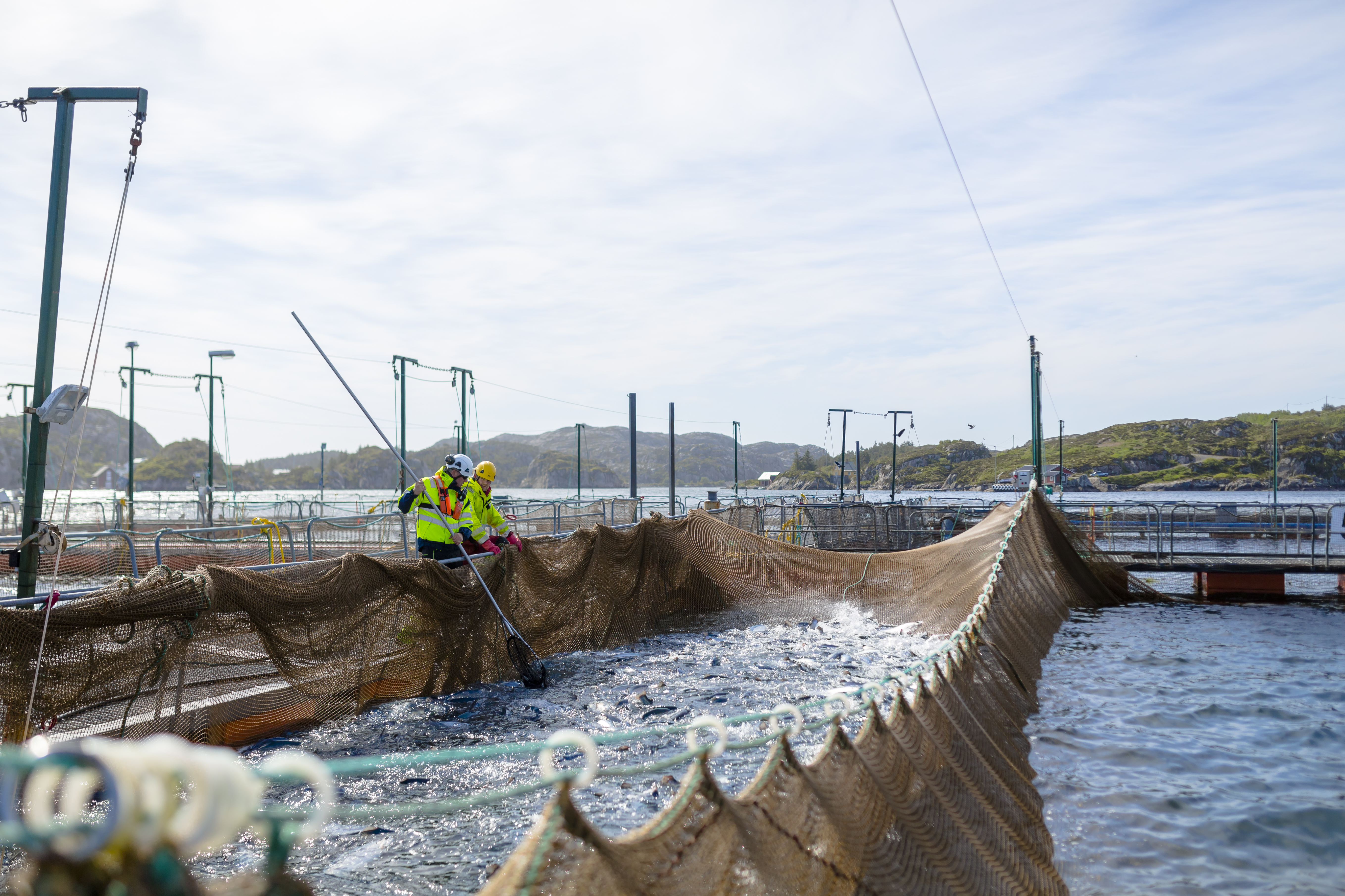 Employees by the fish cages