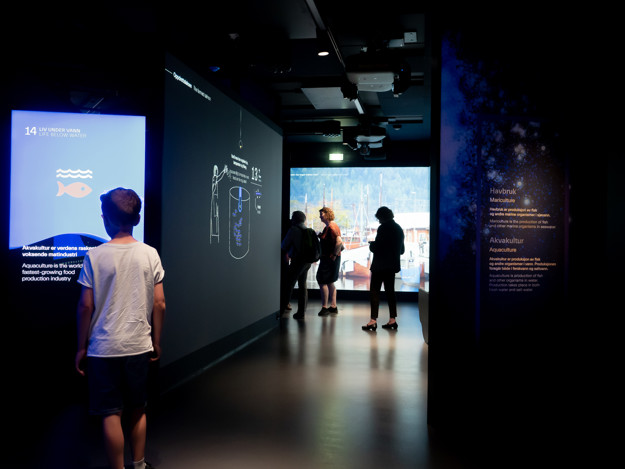 Boy explores the exhibition