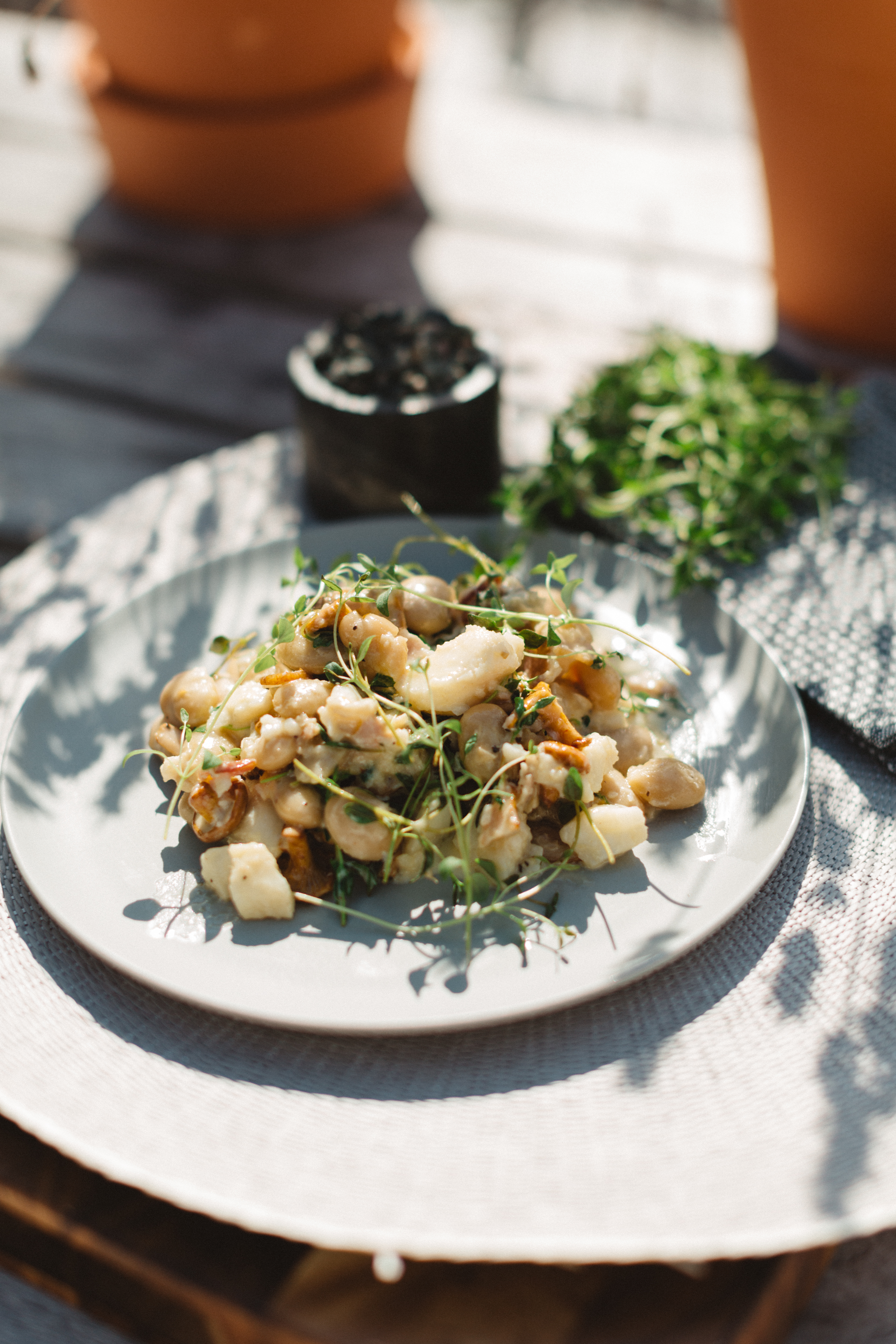 Gryte med steinbit, sopp og timian